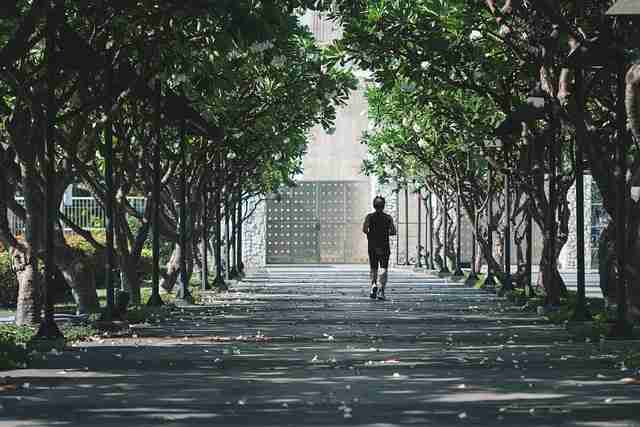 探花视频app高评分系列扩容｜新面孔互动篇持续提升观看体验