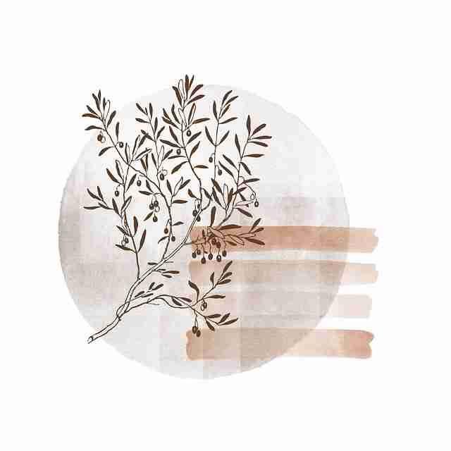 鉴黄师电脑版行为误判数据还原｜审核流程透明化分析人工判断权重重设